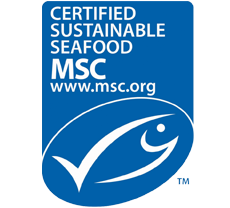 logo-msc logo-msc